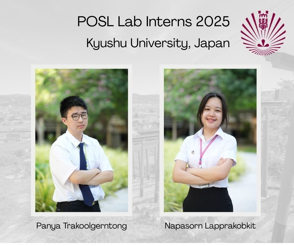 Summer internships 2025, photo 3